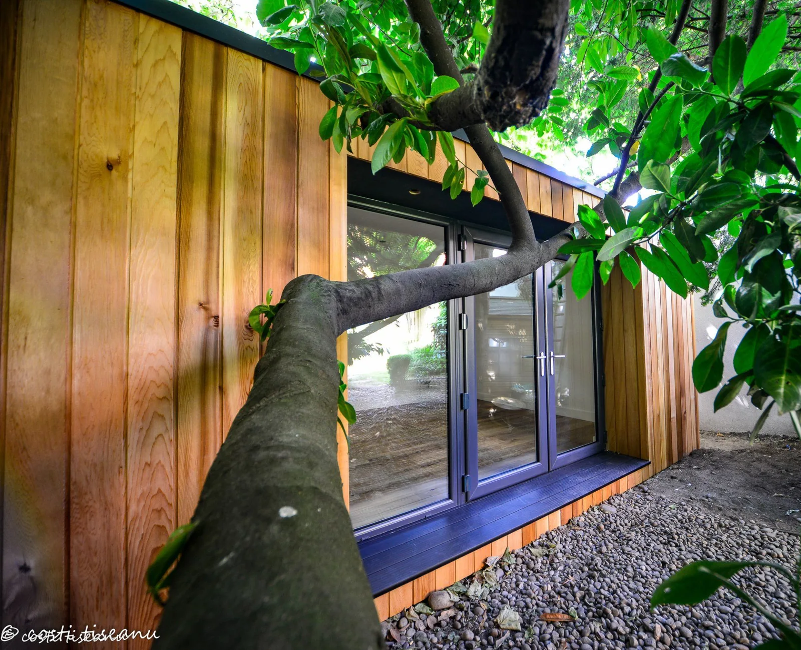 Timber cladding and dark glazing on a completed TRJ garden building