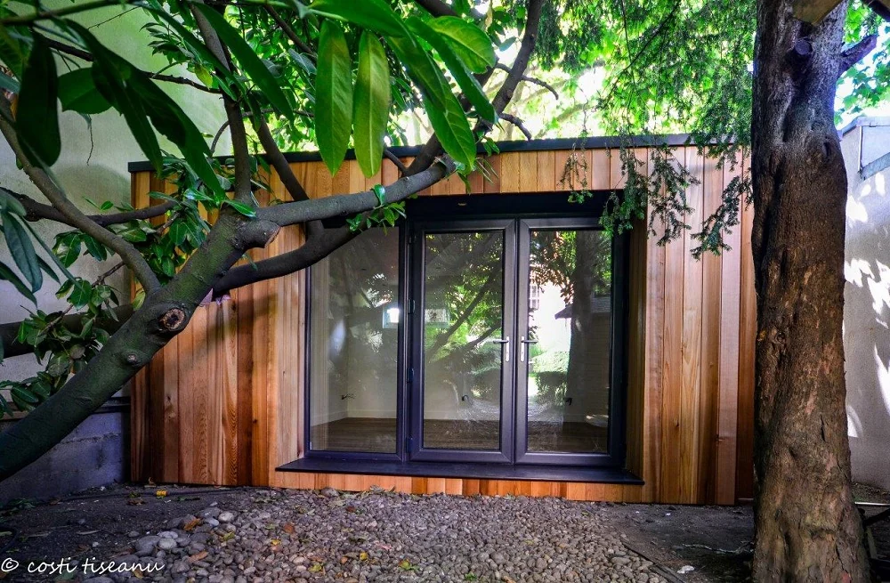 Cedar music room beside a mature tree — North West London