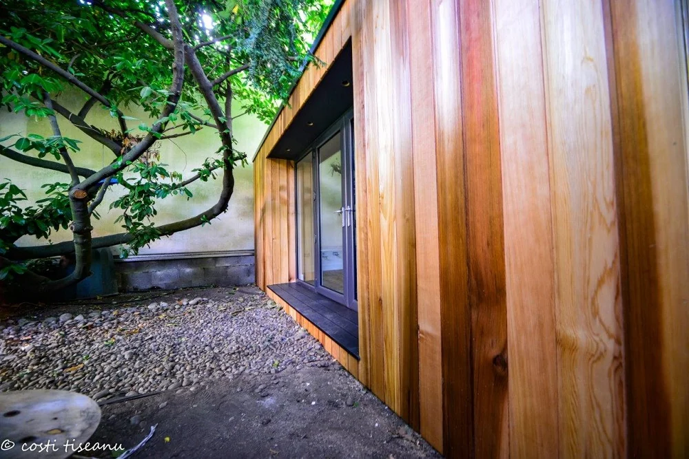 Cedar wall and tree-side path — North West London