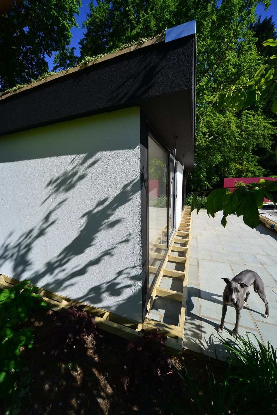 Poolside Garden Gym — project photograph 20